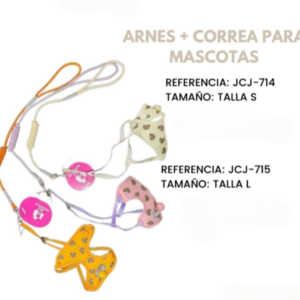arnes + correa