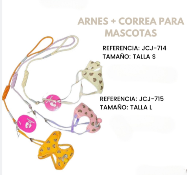 arnes + correa