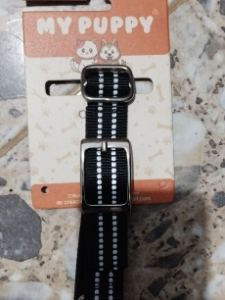 collar con hebilla