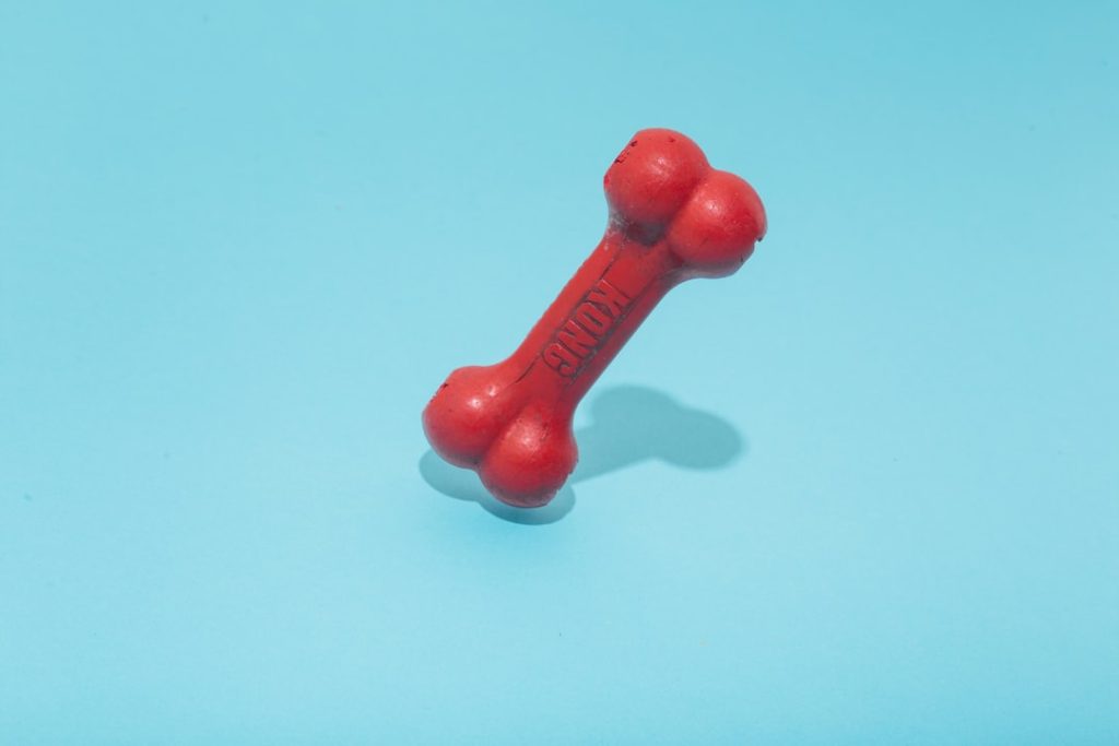 red-kong-bone-figure-on-teal-surface-nolrgl3hujg
