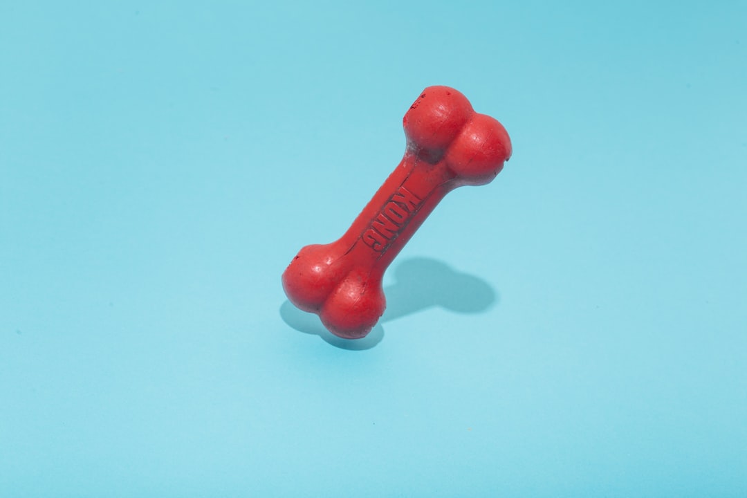 red-kong-bone-figure-on-teal-surface-nolrgl3hujg