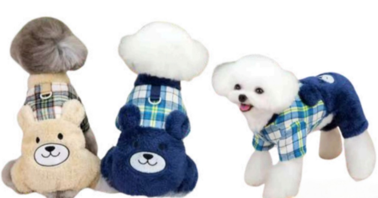 ropa oso para mascota